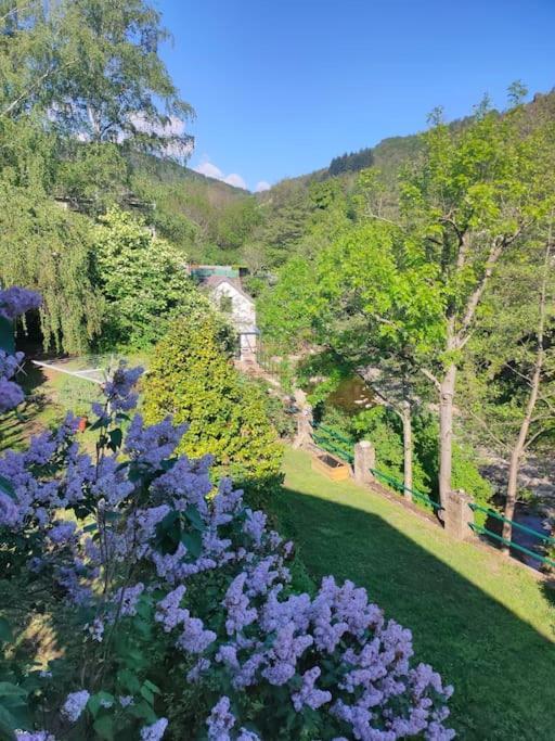 Holiday home Le Secret Du Moulin, Agreable Tiny House Villefort